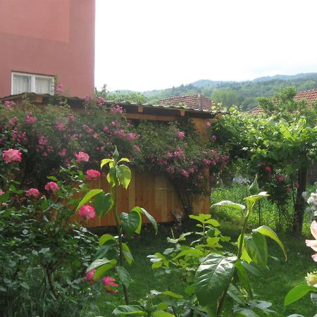 Casa Fabrizio Hotel Calimanesti Exterior photo