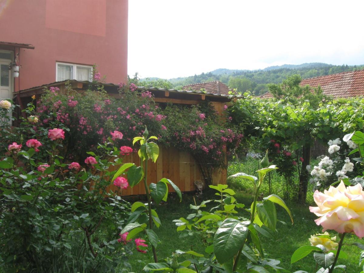 Casa Fabrizio Hotel Calimanesti Exterior photo