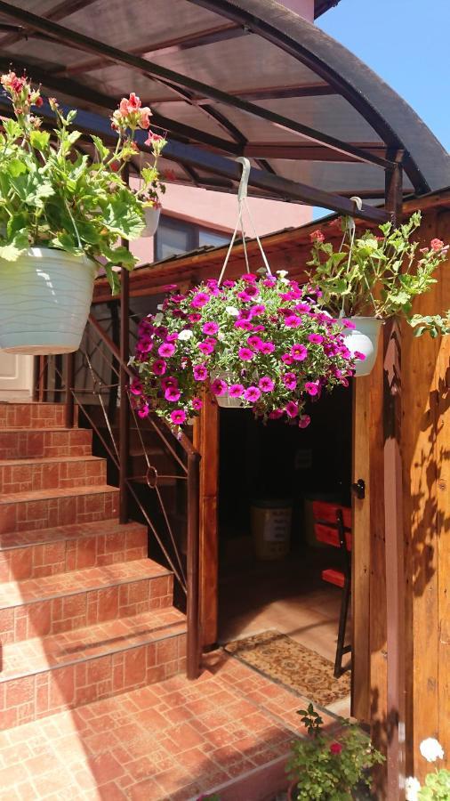Casa Fabrizio Hotel Calimanesti Exterior photo